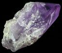 Amethyst Crystal Point - Brazil #64750-2